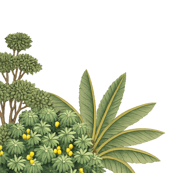 bottom-lef-tree-wedding