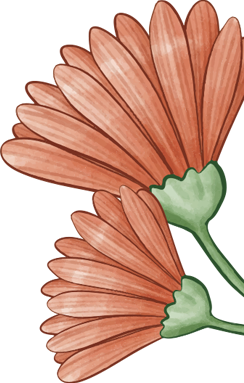 right-orange-flowers